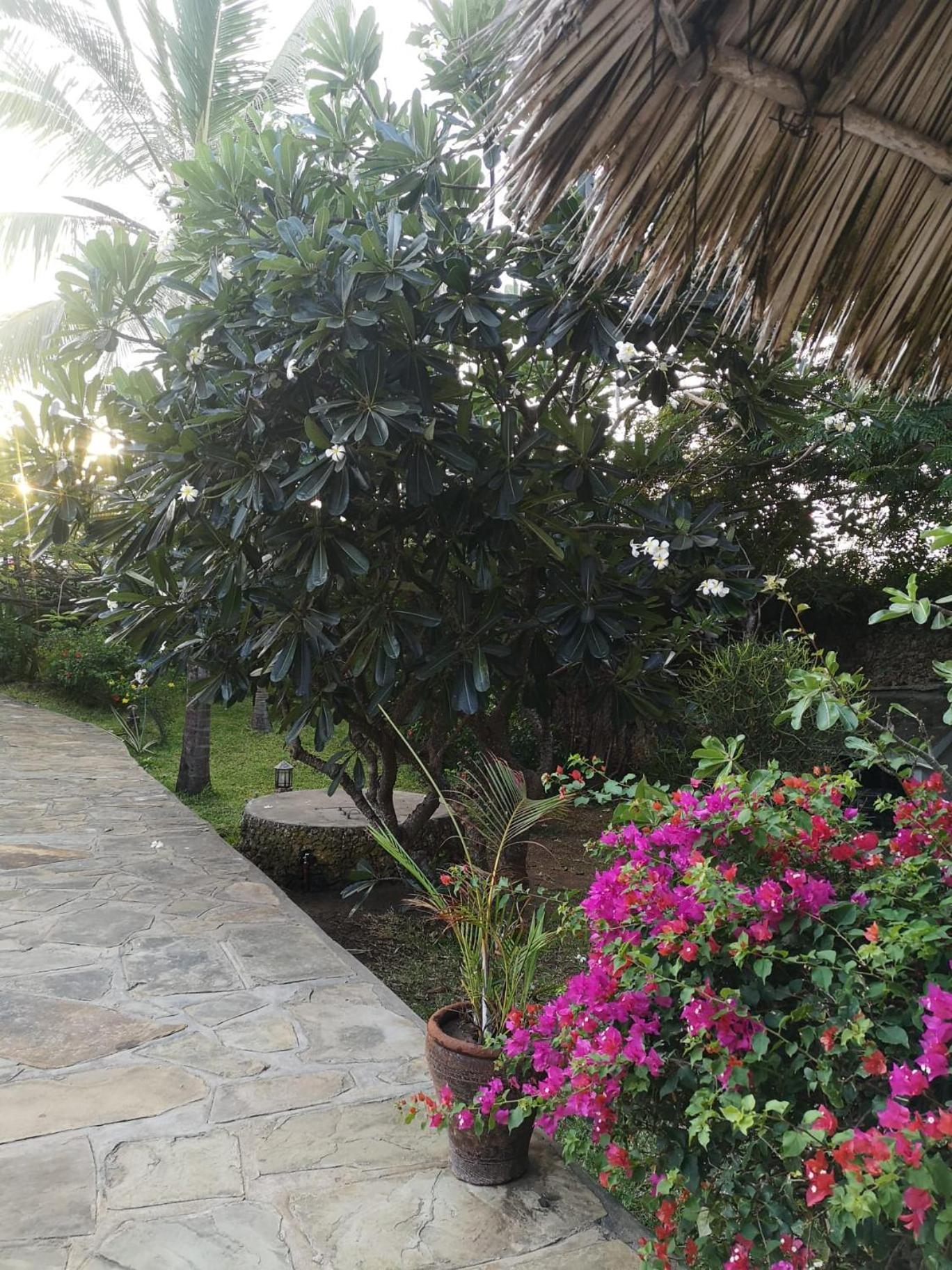 Fulvia House Villa Malindi Eksteriør bilde